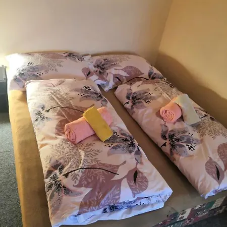 Apartmanovy Dum Pensionat Velké Losiny