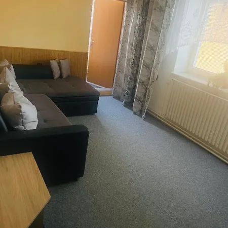 Apartmanovy Dum Pensionat Velké Losiny